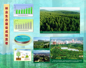 林業(yè)生態(tài)建設成效顯著，推動可持續(xù)發(fā)展