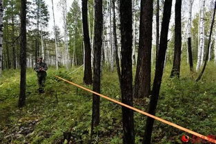 林業(yè)調查規(guī)劃的探路人 工業(yè)發(fā)展中的綠色導航者