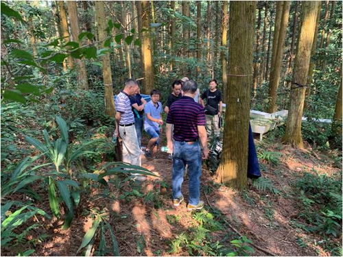 國家生態(tài)系統(tǒng)觀測研究網絡的商業(yè)價值與發(fā)展前景