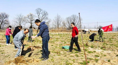 林業(yè)工作站 黨史學習教育氛圍濃厚 助推綠色發(fā)展新篇章