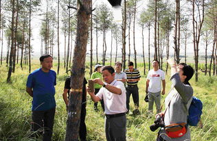 佳木斯商業(yè) 東北邊陲城市的經濟發(fā)展與機遇