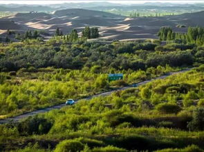 億利榮獲國家林業(yè)重點龍頭企業(yè)稱號，引領綠色工業(yè)發(fā)展