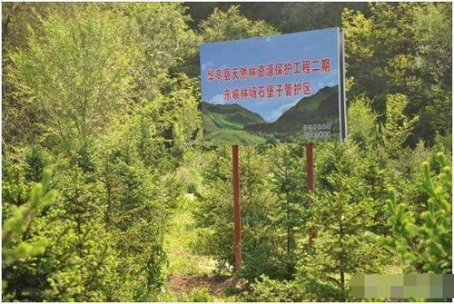 山林地被定性為自然林后的開發(fā)限制與應對策略