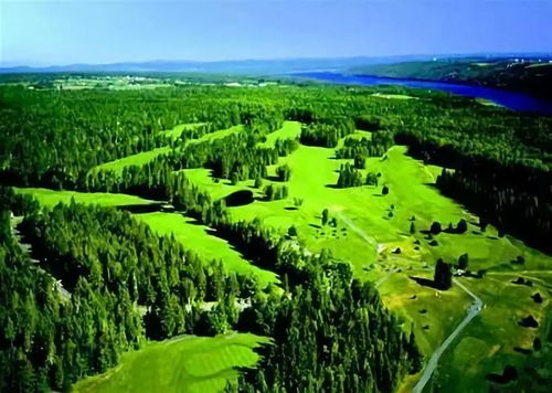 林業(yè)和草原應對氣候變化取得新成效的商業(yè)啟示