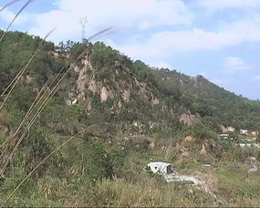 清明祭掃無火險，綠色安全共守護——林業(yè)部門提醒商業(yè)機構與公眾防火責任