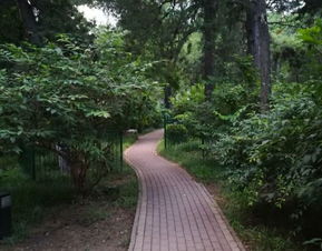 北京林業(yè)大學游覽全攻略 門票、地址、路線與工業(yè)風景點探索