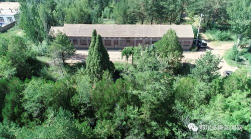 林業(yè)老兵黃達來的綠色情懷