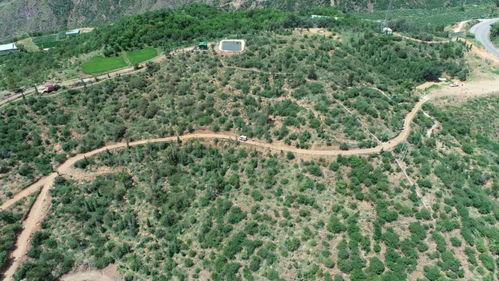 云南建投集團 聚焦主業(yè)，以林業(yè)之力助推區(qū)域發(fā)展