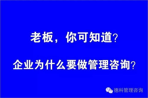 雙輪驅(qū)動(dòng) 管理咨詢與企業(yè)形象策劃如何協(xié)同助力企業(yè)卓越發(fā)展